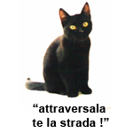 gatto nero: "attraversala te la strada"